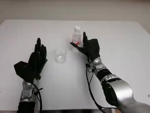 First frame of the sample clip: a robot hand holding a bottle beside a cup.